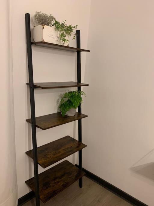 Appartement Dga Loft In Padua Center A Few Steps From Squares Extérieur photo