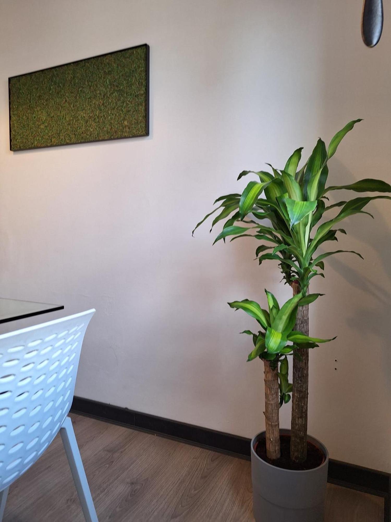 Appartement Dga Loft In Padua Center A Few Steps From Squares Extérieur photo